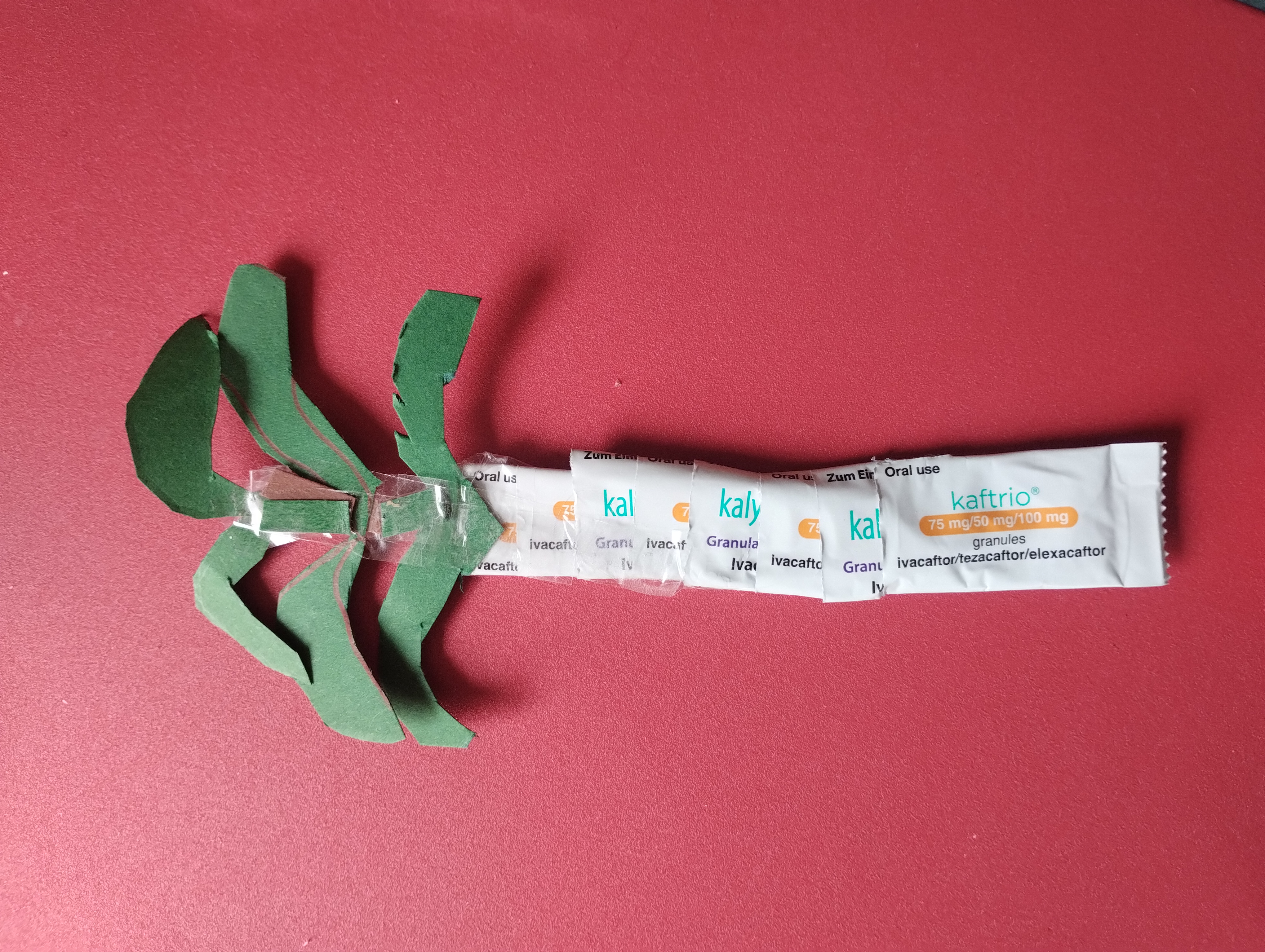 Bild: Palme aus Kaftrio Granulat Packungen